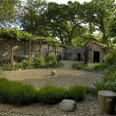 Casa Di Pietro In Vivo D'Orcia, Pool Villa ภายนอก รูปภาพ